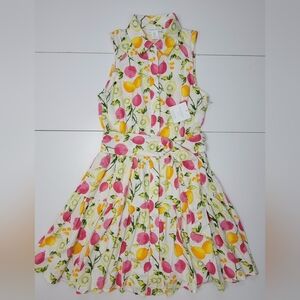 Cynthia Rowley Linen Blend Tiered Button Belted DressLined-Skirt Fruits Sz 4 New